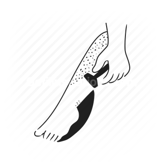 fish, swimming, sea creature, Vector illustration