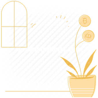 cryptocurrency, bitcoin, growth, plant, window, indoors, financial