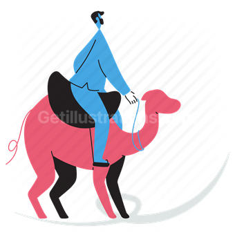 camel, ride, riding, man, activity, outdoors