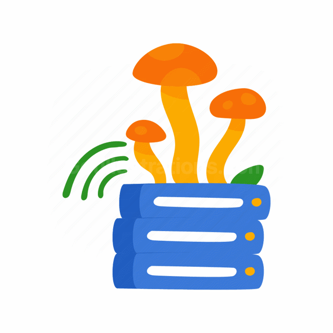 mushrooms, server, data, cloud, storage