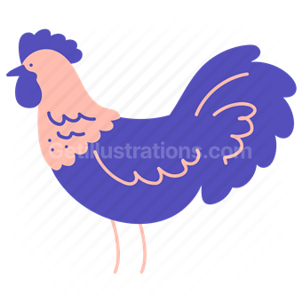 bird, chicken, rooster, farm, animal, wildlife
