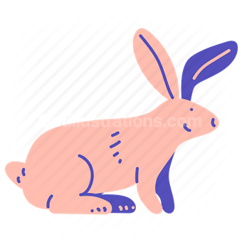 bunny, rabbit, pet, animal, wild, wildlife, nature
