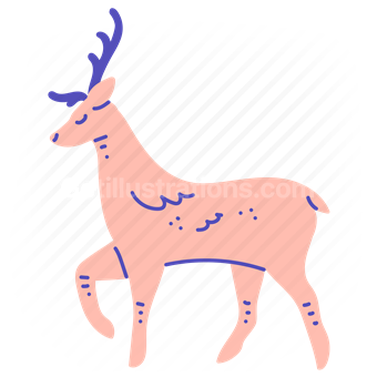 deer, reindeer, animal, wildlife, wild, zoo