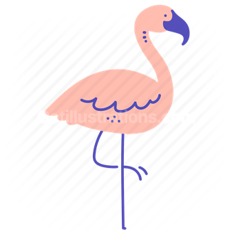 flamingo, bird, animal, wild, wildlife, nature