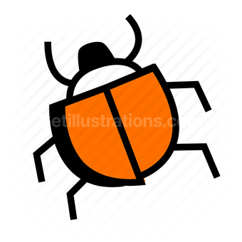 bug, insect, beetle, orange, Vector illustration