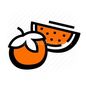 oranges, fruit, citrus, Vector illustration