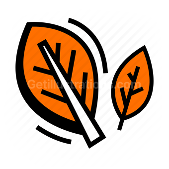 autumn, leaves, seasonal, nature, plant