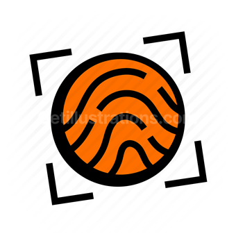 fingerprint, identity, biometric, security, Vector illustration