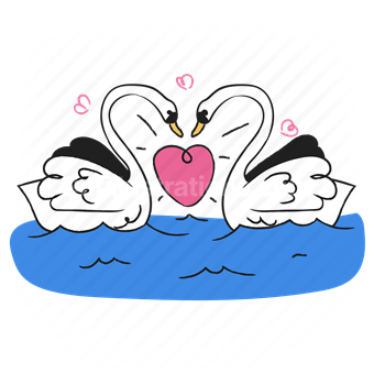 swan, bird, animal, wildlife, nature, heart, love, romance, romantic