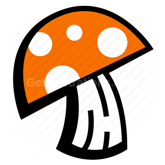 mushroom, nature, wildlife, outdoors, shroom, fungus