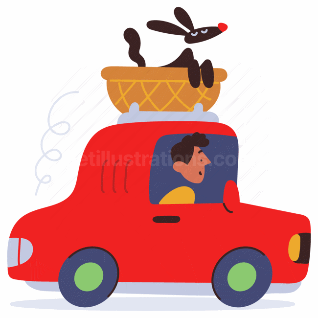 dog, basket, car, vehicle, man, drive, driving