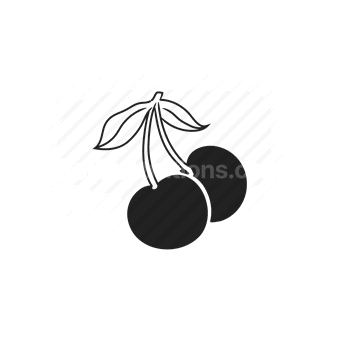 cherries, fruit, food, Vector illustration