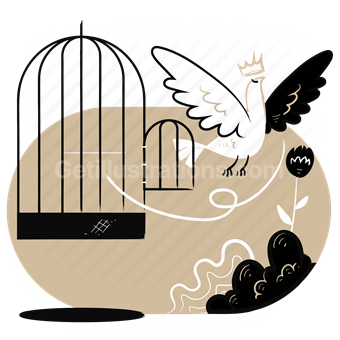 birdcage, bird, animal, freedom, free, release