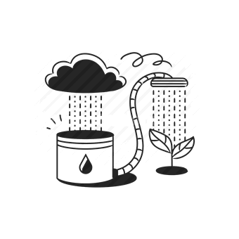 rain, watering, plant, growth