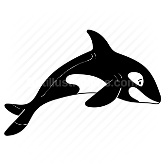 animal, wildlife, sea, ocean, nautical, aquarium, zoo, orca