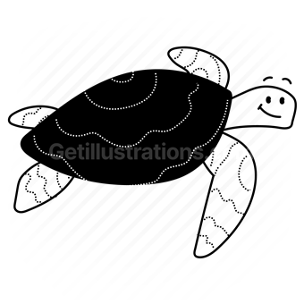 animal, wildlife, sea, ocean, nautical, aquarium, zoo, sea turtle, turtle