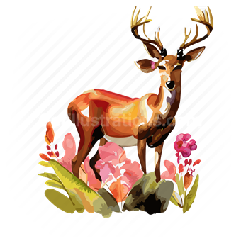 animal, deer, reindeer, wildlife, nature, flower, floral, plants, forest