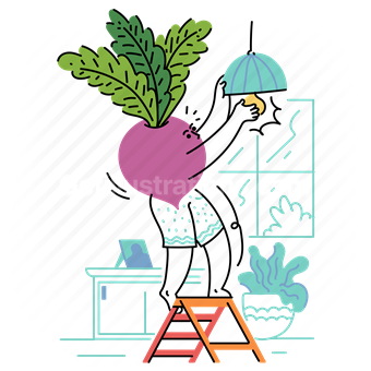 activity, lightbulb, light, turnip, ladder, activity