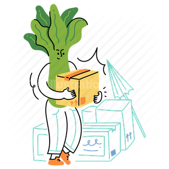 lettuce, box, package, shipping, delivery, moving