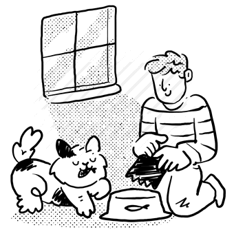 food, feed, cat, animal, pet, window, man