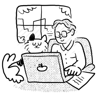 home, remote, laptop, computer, cat, window