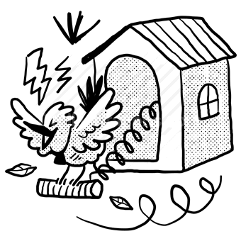 animal, pet, bird, house, sound, audio, alarm