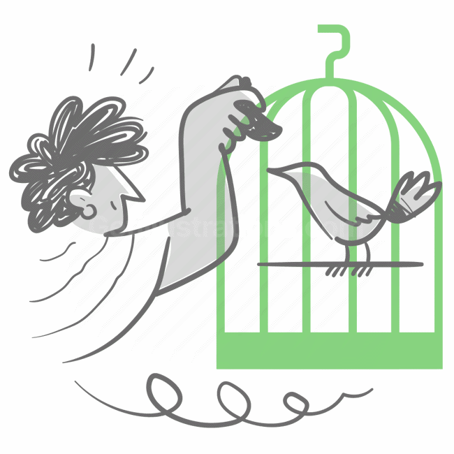 birdcage, bird, freedom, creativity, escape, expression