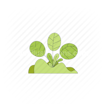 bush, green, agriculture, leaves, plant