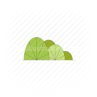 bush, green, leaves, agriculture, plant