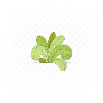 green, bush, leaves, agriculture, plant