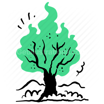 eco, environment, forest, fire, flame, tree, global, warming, nature