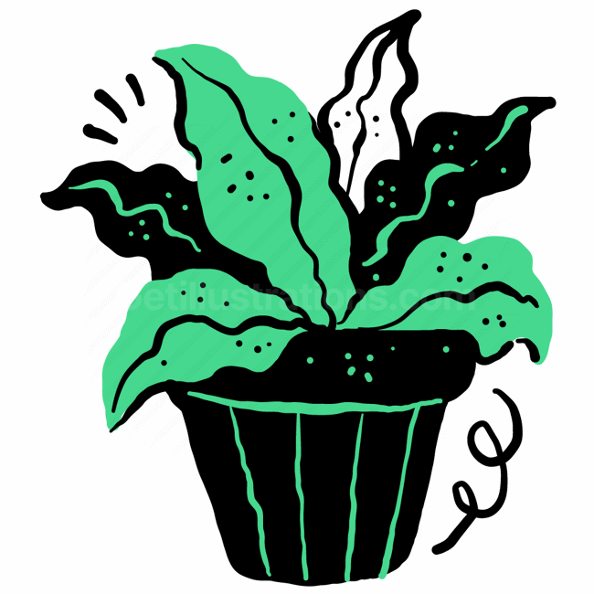 pot, potted, plant, leaves, leaf, agriculture