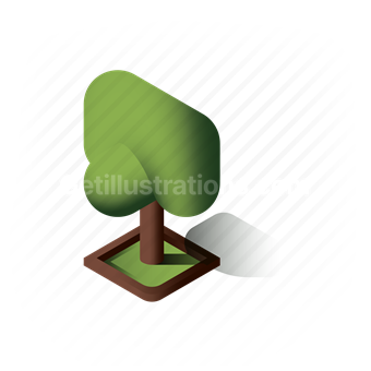 tree, plant, ecology, park