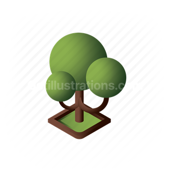 tree, plant, park, ecology