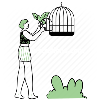 pets, bird, birdcage, nature, environment, woman