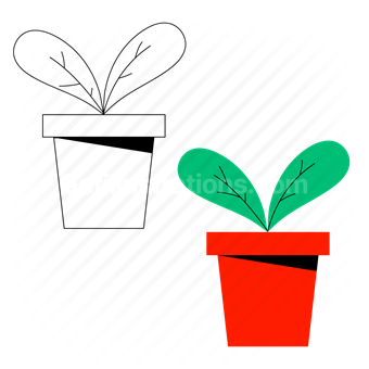 potted plant, plant, house plant, nature, leaf