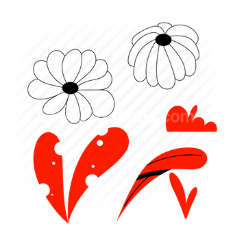 flower, floral, plant, ecology