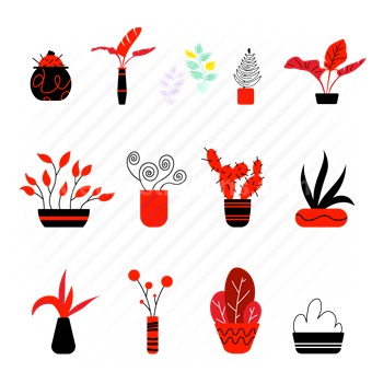 plant, potted plant, cactus, house plant, decor