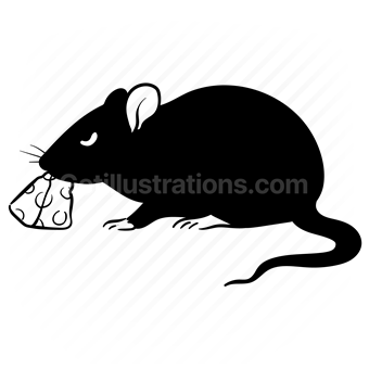 nature, wildlife, wild, zoo, animal, mouse, rat, rodent, cheese