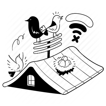 bird, roof, antenna, bird, nest, no signal, signal, network