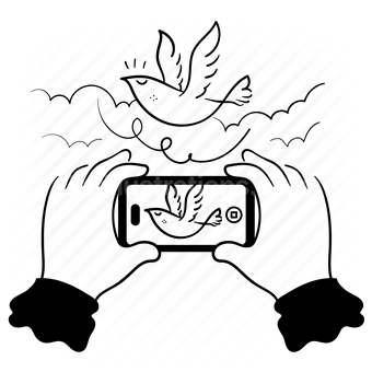hand, gesture, mobile, photo, photography, camera, device, animal, bird