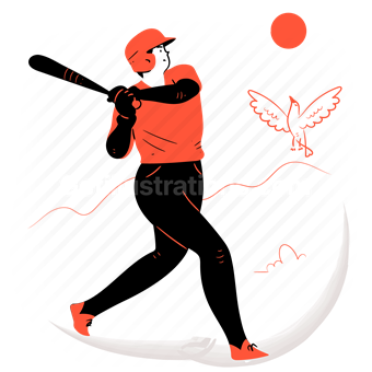 baseball, club, ball, sport, game, fitness, man, bird
