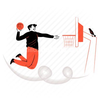 basketball, man, sport, fitness, bird, net, ball