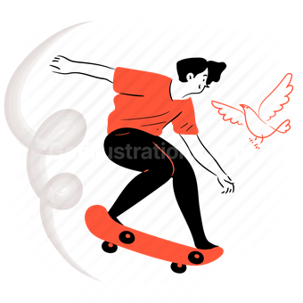 skateboard, skateboarding, sport, fitness, activity, man