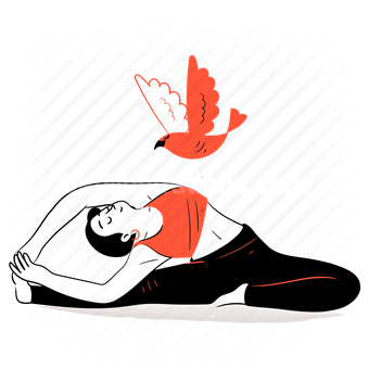 yoga, stretch, stretching, pose, sport, fitness, woman, left, bird