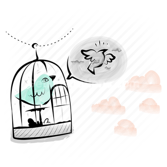 home, cage, bird, captivity, freedom, animal