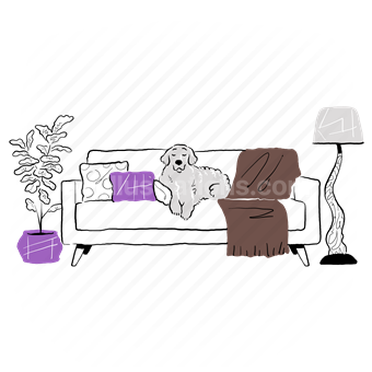 animal, pet, dog, furniture, home, couch, furnishing, lamp, plant