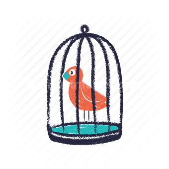 home, captivity, bird, cage, protection