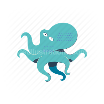 octopus, animal, ocean, sea, wildlife