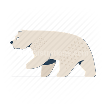 polar bear, bear, animal, wildlife, nature
